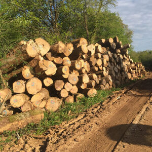 NAALDHOUT MIX