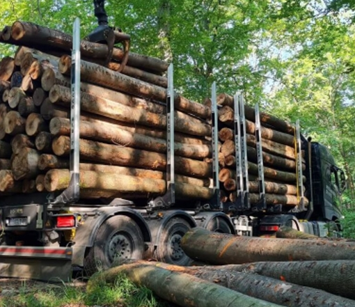 Hardhout Mix - 150 kuub - Drie vrachtwagens