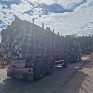 Haagbeuk stamhout - onbewerkte stammen per vrachtwagen