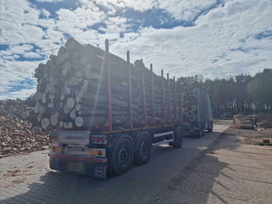 Haagbeuk stamhout - onbewerkte stammen per vrachtwagen